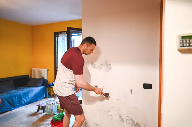 Best Mold Damage Repair  in Wurtland, KY